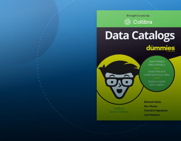 Data catalogs for dummies
